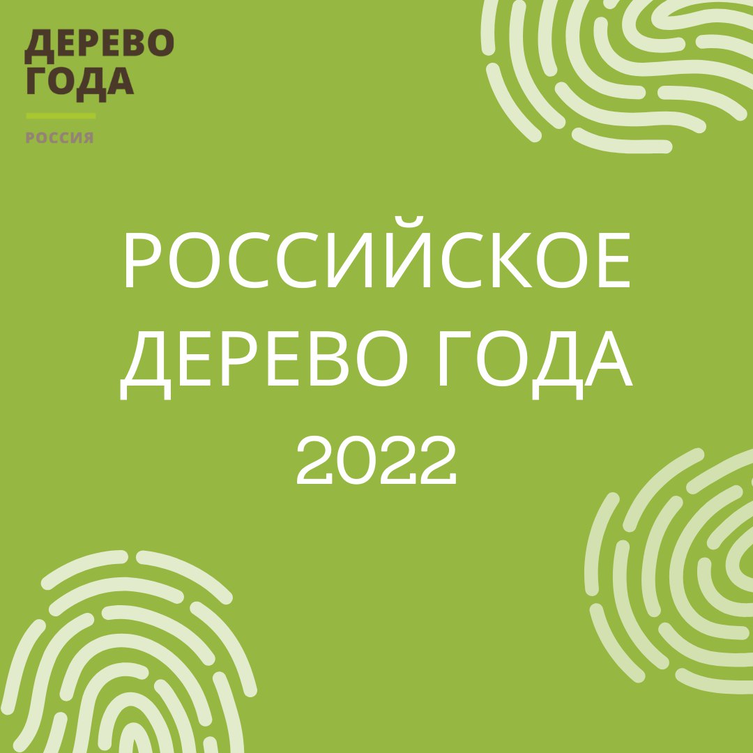 Российское Дерево Года 2022